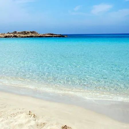 196 * פרוטאראס